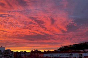 Imagen: Marina García Abril. Alicante-Alacant.