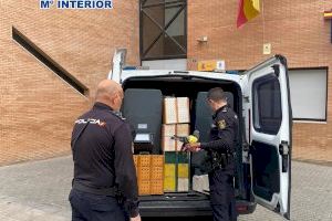 Dos detenidos por sustraer 120 palomos de alta competición en Benidorm