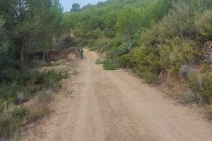 Segorbe invierte en prevención de incendios