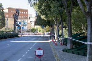 Castelló ja té nova ubicació per a la tanca retirada del parc de Rafalafena