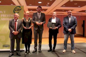 CSIF distingue con su primer premio en prevención al autor de un trabajo sobre la exposición a plaguicidas al cultivar cítricos