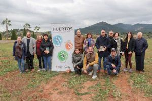 Onda pone en marcha el Huerto Intergeneracional para que mayores y jóvenes compartan agricultura ecológica