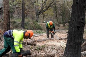 La CHJ trabaja en la recuperación de la zona del dominio público hidráulico afectado por los incendios de la Vall d’Ebo y Bejís