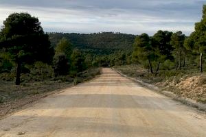 Transición Ecológica restaura 1,2 kilómetros de acceso a la zona recreativa del Regaixo en la Font de la Figuera