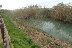 20 años de la restauración ambiental del Senillar de Moraira