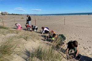 La Diputació impulsa la custòdia escolar en platges de 10 municipis per a posar en valor el sistema dunar i protegir la seua flora i fauna