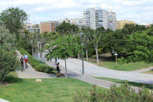 València adjudica el primer plan de mejora integral del Jardí del Túria