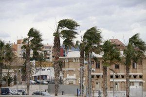 Domingo de alerta amarilla por fuertes rachas de viento y precipitaciones en la C. Valenciana