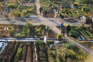 Abierto el periodo de renovación de las parcelas de los Huertos Sociales de Burjassot