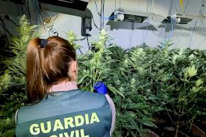 Un incendio en una vivienda de Almassora saca a la luz una plantación de marihuana