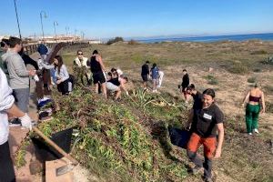 Importantes avances en la recuperación del Paraje Natural Municipal "Molino del Agua" de Torrevieja