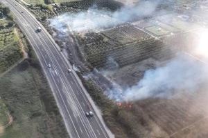 El viento aviva un fuego rápido junto a la AP-7 en Pedreguer