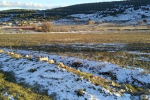 Diiumenge de gelades i vent en la Comunitat Valenciana