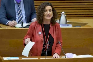 El PSPV-PSOE reclama a los grupos “decoro” y exige a Les Corts que “se prohíba de forma expresa emitir insultos a terceros en la cámara”