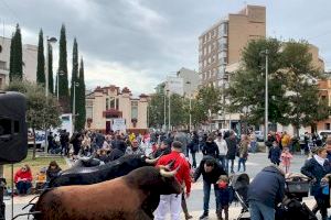 Encierros infantiles para cerrar las VI Jornades del bou de Almassora