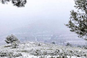 L'últim dilluns de gener arriba a la C. Valenciana amb avís groc per fred i mínimes de fins a -4 °C