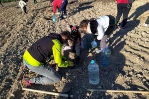 Plantan 550 árboles en un antiguo vertedero de Benejúzar para conmemorar el Día del Árbol de la Comunitat