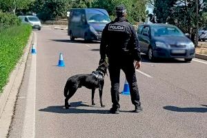 La Unitat Canina de la Policia Local de Sagunt fa una gran faena en la prevenció del consum d'estupefaents