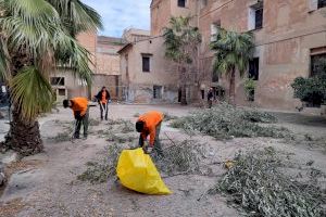 Los alumnos de FP Básica de la EFA La Malvesía trabajan en la poda del Real Monasterio de la Santísima Trinidad de València