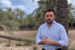 El PP de Elche propone el uso de los huertos de palmeras como espacios agrarios