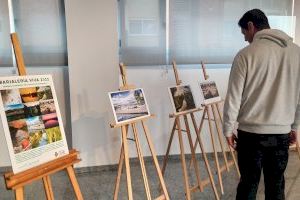 Castelló expone en el centro la Marina del Grau las fotografías del concurso Marjaleria Viva