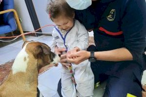 La perra de los Bomberos 'Piña’ que viajó al terremoto de Turquía llena de ilusión a los menores en su visita al Hospital Dr. Balmis