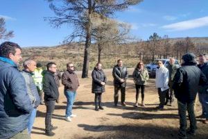 Transición Ecológica invierte 1,8 millones de euros en la recuperación forestal de la zona quemada en Altura por el incendio de Bejís