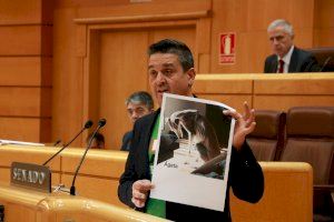 Compromís rebutja la Llei de Benestar Animal i la reforma del Codi Penal per no ser prou ambiciosa en la protecció animal