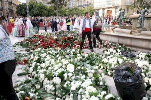 Junta Central Fallera anuncia este importante cambio en la Ofrenda debido a la falta de claveles blancos