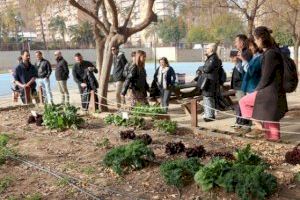 Salud Pública avanza en la implantación de una alimentación escolar sostenible bajo el proyecto europeo School Food 4 Change