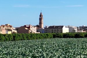 El Ayuntamiento de Bonrepòs i Mirambell cierra la liquidación de 2022 con 591.000 euros de remanente de tesorería