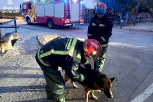 VIDEO | Rescatan un perro que había caído a una acequia con agua en La Llosa