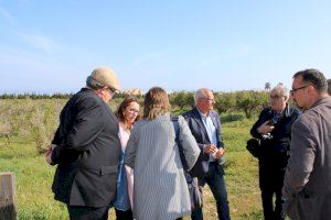 L’Ajuntament de Dénia presenta el projecte per a la creació d’un parc agrari experimental junt a la via verda