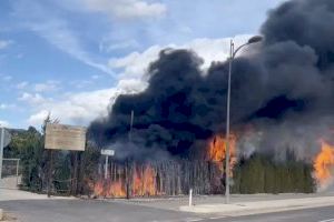 La Llosa de Ranes demana la col·laboració ciutadana per tractar d’esclarir l’origen dels tres incendis provocats en pocs dies