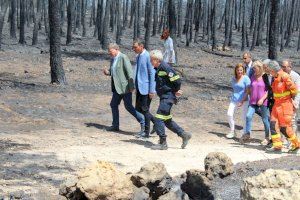 Pedro Sánchez visitarà l'incendi de l'Alt Millars aquest dilluns