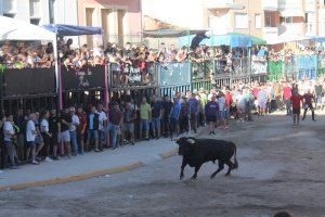 Almenara organitzarà un curs formatiu per a directors de festejos taurins