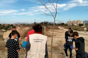 Plantación de árboles en el entorno del instituto Enric Valor