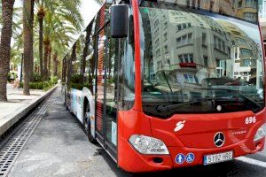 Transporte Semana Santa Alicante: Se amplía el ‘búho’ para facilitar la vuelta de las procesiones