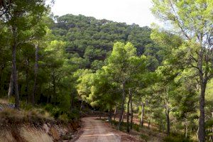 Un paraje natural en Monovar