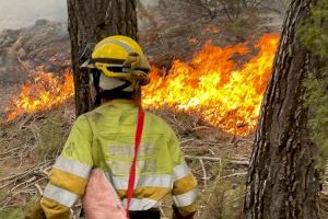 El DOGV publica el inicio de plazo para la solicitud de ayudas para paliar los daños producidos por el incendio de Villanueva de Viver