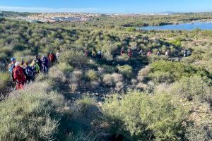 La Diputación de Alicante destina 600.000 euros al control de la salubridad pública y el bienestar animal