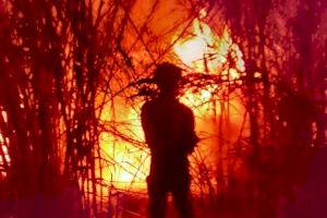 Un incendi arrasa una zona de vegetació a Alfarb