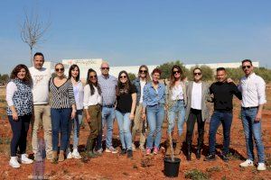 Onda implica a empresas locales en la plantación de árboles en su Bosque Olímpico