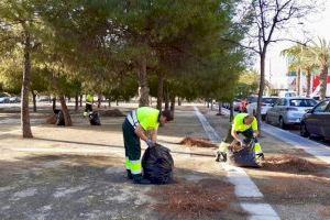 Comienzan en el Boulevard Severo Ochoa las labores de mantenimiento y conservación de zonas verdes de Elche Parque Empresarial