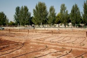 Almassora abrirá en 15 días las solicitudes de huertos urbanos