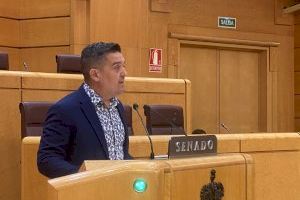 Compromís exige en el Senado la transferencia de Cercanías y suma su voto a la reprobación de la ministra de Transportes ‘por mala gestión’