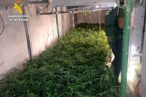 Desmantelan una organización que cultivaba marihuana en chalets de lujo de Altea