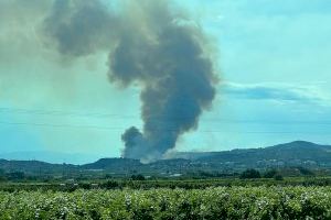 Un incendio forestal en Alfarp obliga a desalojar algunas casas