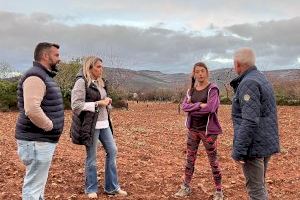 Barrachina crearà oficines agràries de proximitat i implantarà la guarderia rural per a frenar els robatoris en el camp