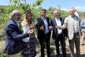 Mazón reclama desahogo impositivo para los jóvenes que quieran poner en marcha sus tierras agrícolas